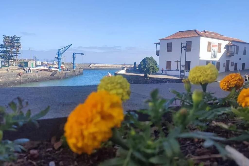 Centrico Y Encantador Estudio En Puerto De La Cruz ภายนอก รูปภาพ