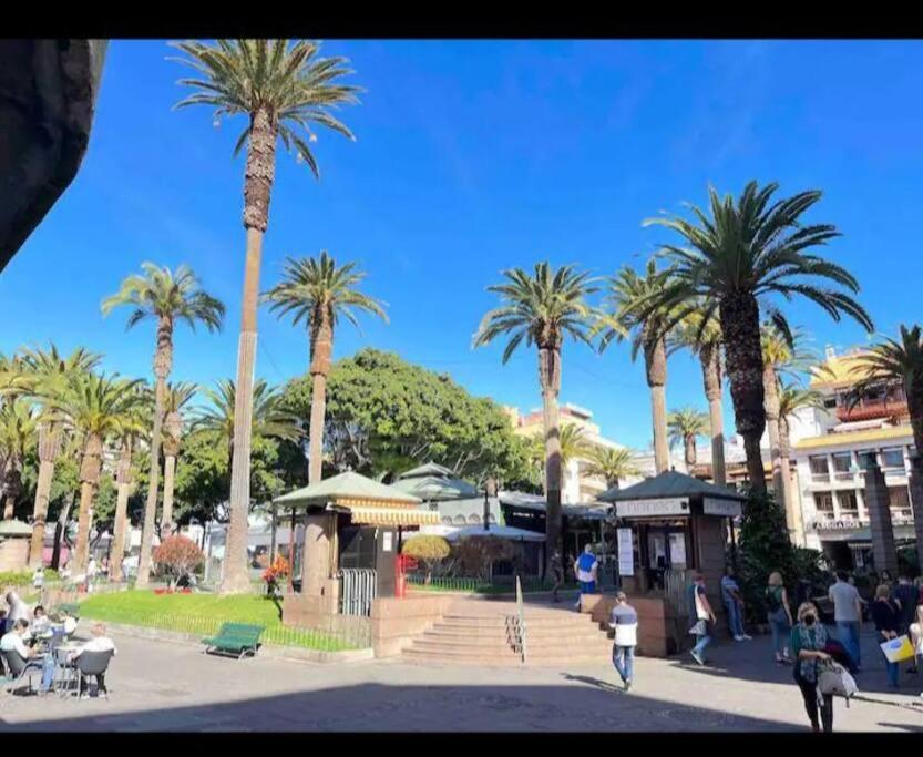 Centrico Y Encantador Estudio En Puerto De La Cruz ภายนอก รูปภาพ